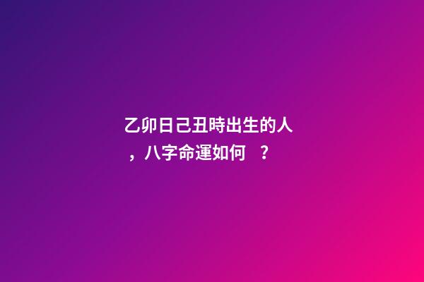乙卯日己丑時出生的人，八字命運如何？